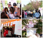 我校举办首届“樱花之约”园艺健心活动 - 西南科技大学