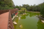 新华公园归来 植物更多湖更大 收费项目不见了 - Sichuan.Scol.Com.Cn