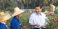 2013年4月，习近平在海南考察。 - News.Sina.com.Cn