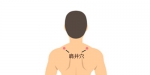 颈腰椎衰老分5个阶段 你到了哪一步看完吓一跳 - News.Sina.com.Cn