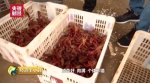 一只小龙虾串出百亿年产值 最值钱的却不是虾肉 - News.Sina.com.Cn