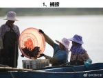 10万中国小龙虾出征世界杯 俄罗斯吃货或“沦陷” - News.Sina.com.Cn