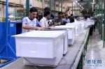 在海尔巴基斯坦鲁巴经济区冰箱车间，工人在生产线上作业（资料照片）。新华社发 - News.Sina.com.Cn