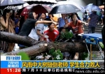 央视多频道轮播暴雨中学生合力抬树救老师 - 成都大学