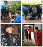 暴雨无情 校园温情 西南科大人在行动 - 西南科技大学