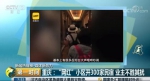 ▲截图来源：央视财经 - News.Sina.com.Cn