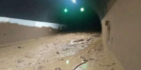 泥石流进入隧道。四川高速交警 供图 - Sc.Chinanews.Com.Cn