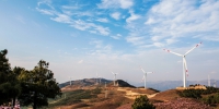 四川能投全力打造绿色生态风电场 - 政府国有资产监督管理委员会