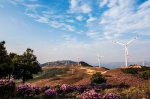 四川能投全力打造绿色生态风电场 - 政府国有资产监督管理委员会