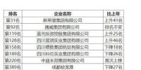2019中国民营500强榜单出炉 跑出3家“黑马”川企 - 成都中小企业