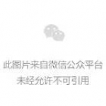 全球抢购中国呼吸机：订单排到六月 元器件物流制约产能 - News.Sina.com.Cn