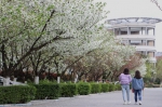 春归万物苏 犇迎新气象——西南科技大学开课第一天 - 西南科技大学