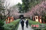 市民在杜甫草堂观赏梅花。安源 - Sc.Chinanews.Com.Cn