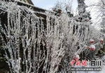 四川兴文县仙峰苗族乡雪景如画 - Sc.Chinanews.Com.Cn