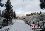 四川兴文县仙峰苗族乡雪景如画 - Sc.Chinanews.Com.Cn