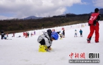 雅安石棉王岗坪“冰雪世界”受游客青睐 - Sc.Chinanews.Com.Cn