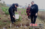 技术人员指导施肥。谢义 摄 - Sc.Chinanews.Com.Cn