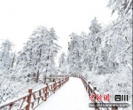 瓦屋雪景。瓦屋山景区供图 - Sc.Chinanews.Com.Cn