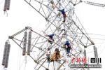 电力施工人员进行进行组塔作业。胡吉摄 - Sc.Chinanews.Com.Cn