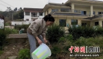 正在浇水。 邱婷 摄 - Sc.Chinanews.Com.Cn