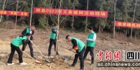 正在一起植树。单华燕 摄 - Sc.Chinanews.Com.Cn