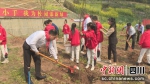 大家正在植树现场。范祖维 摄 - Sc.Chinanews.Com.Cn