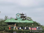 大竹县第六届“喊山开茶文化节”现场。 - Sc.Chinanews.Com.Cn