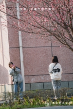 今日春分，校园花开春色浓 - 西南科技大学