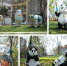 【大运全记录】校园新增7组熊猫景观小品和3处运动雕塑 - 成都大学