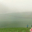 雾气中的峨眉山蔬菜基地。何轩 摄 - Sc.Chinanews.Com.Cn