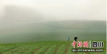 雾气中的峨眉山蔬菜基地。何轩 摄 - Sc.Chinanews.Com.Cn