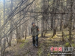 森林管护员张建光。 - Sc.Chinanews.Com.Cn