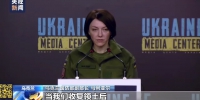 乌国防部副部长：加入北约的目标已写进宪法 - News.Sina.com.Cn
