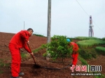 员工正在铺设自来水管。王成文 摄 - Sc.Chinanews.Com.Cn