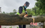 自贡沿滩：暴雨突袭 交警及时清障保安全 - Sc.Chinanews.Com.Cn