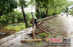 自贡沿滩：暴雨突袭 交警及时清障保安全 - Sc.Chinanews.Com.Cn