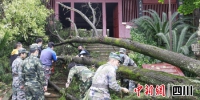 正在清理被大风吹倒的大树。安岳县融媒体中心 供图 - Sc.Chinanews.Com.Cn