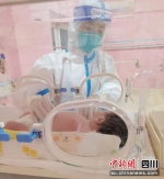 临时妈妈正在进行精心的呵护。资阳市第一人民医院 供图 - Sc.Chinanews.Com.Cn
