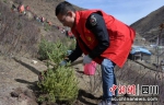 义务植树现场。 - Sc.Chinanews.Com.Cn