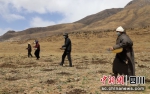 村民正在撒播种子。石渠融媒供图 - Sc.Chinanews.Com.Cn