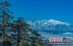 四川石棉王岗坪：一山观四季 风景如仙境 - Sc.Chinanews.Com.Cn