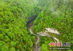 石板河旅游景区。威远县委宣传部供图 - Sc.Chinanews.Com.Cn