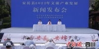 安岳县2022年文旅产业发展专题新闻发布会现场。吴双桂 摄 - Sc.Chinanews.Com.Cn