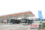 郫都区投入使用氢燃料客车。郫都区融媒体中心 供图 - Sc.Chinanews.Com.Cn