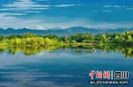 温江区鲁家滩湿地公园。王晓林 摄 - Sc.Chinanews.Com.Cn