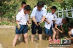 树德小学教师带领学生学习插秧。 唐彪 摄 - Sc.Chinanews.Com.Cn