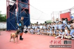 小朋友们与消防搜救犬进行互动。德阳消防供图 - Sc.Chinanews.Com.Cn