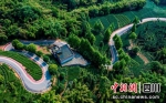农村公路（雨城融媒 供图） - Sc.Chinanews.Com.Cn