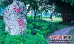公园美景(沿滩融媒 供图) - Sc.Chinanews.Com.Cn