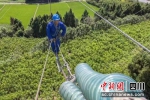 巡视检修电力设备。 田海 摄 - Sc.Chinanews.Com.Cn